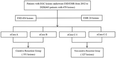 Risk Factors and Prediction Model for Non-curative Resection of Early Gastric Cancer With Endoscopic Resection and the Evaluation